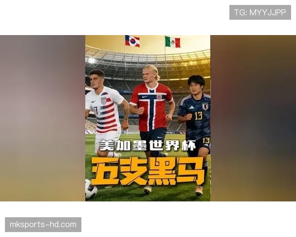 世界杯D组黑马球队战术特点解析 世界杯D组黑马球队战术特点解析